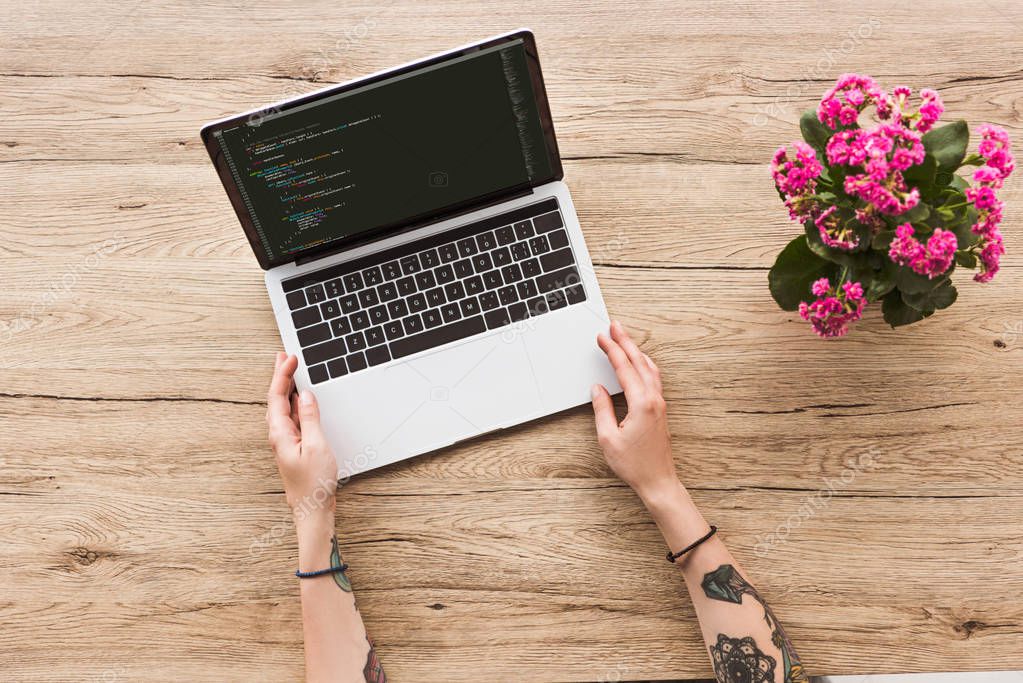 Partial view of woman at tabletop with laptop and kalanhoe plant in flowerpot