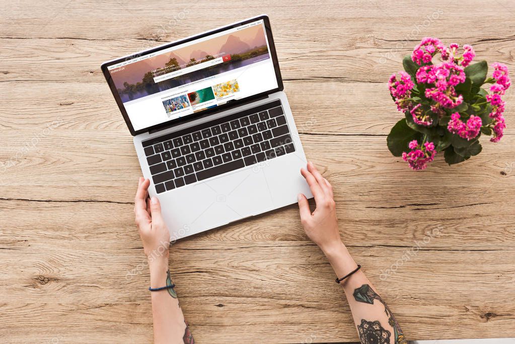 Partial view of woman at tabletop with laptop with shutterstock websiteand kalanhoe plant in flowerpot