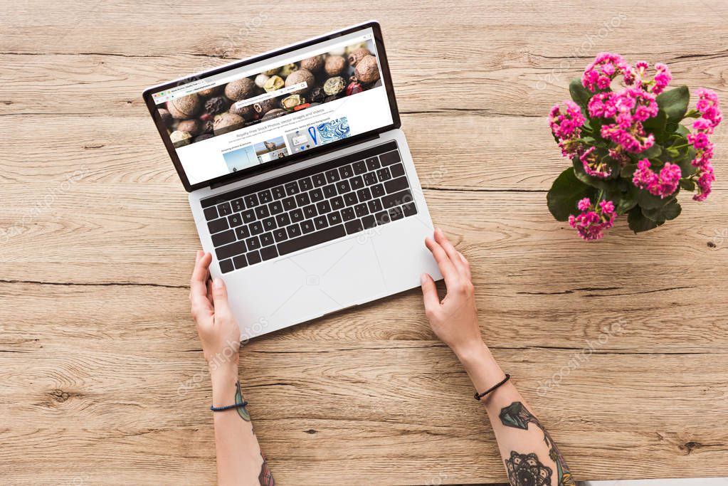 Partial view of woman at tabletop with laptop with depositphotos logo and kalanhoe plant in flowerpot