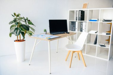 iç modern ofis Oda saksı bitkileri, sandalye, Masa, infographics, bilgisayar ve raflar 