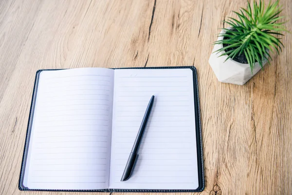 Top View Empty Textbook Pen Potted Plant Wooden Table — Stock Photo, Image