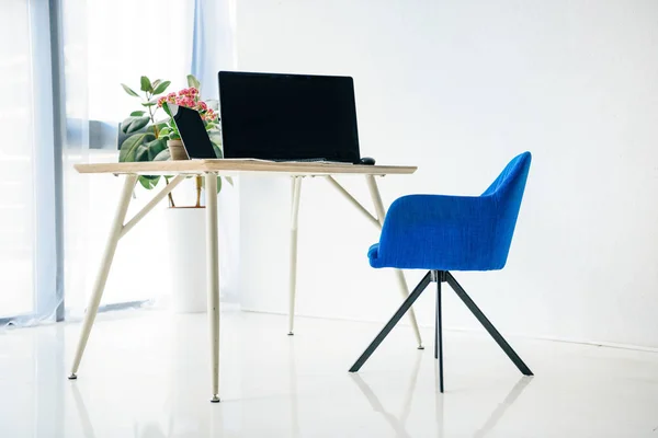 Interieur Van Kamer Met Stoel Tafel Potplanten Laptop Computer Computermuis — Gratis stockfoto