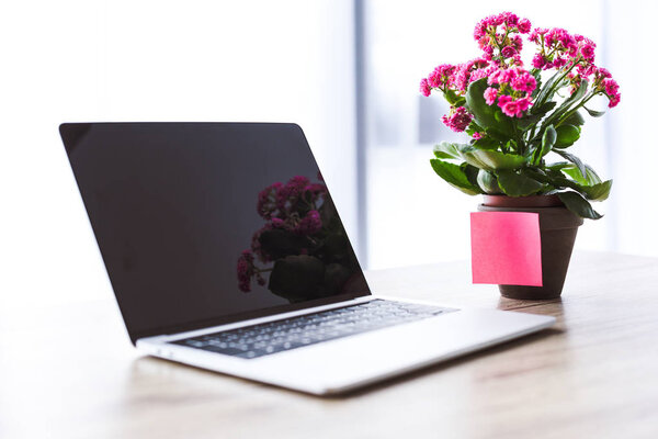 closeup shot of laptop with blank screen and flowers in pot with empty post it at table 