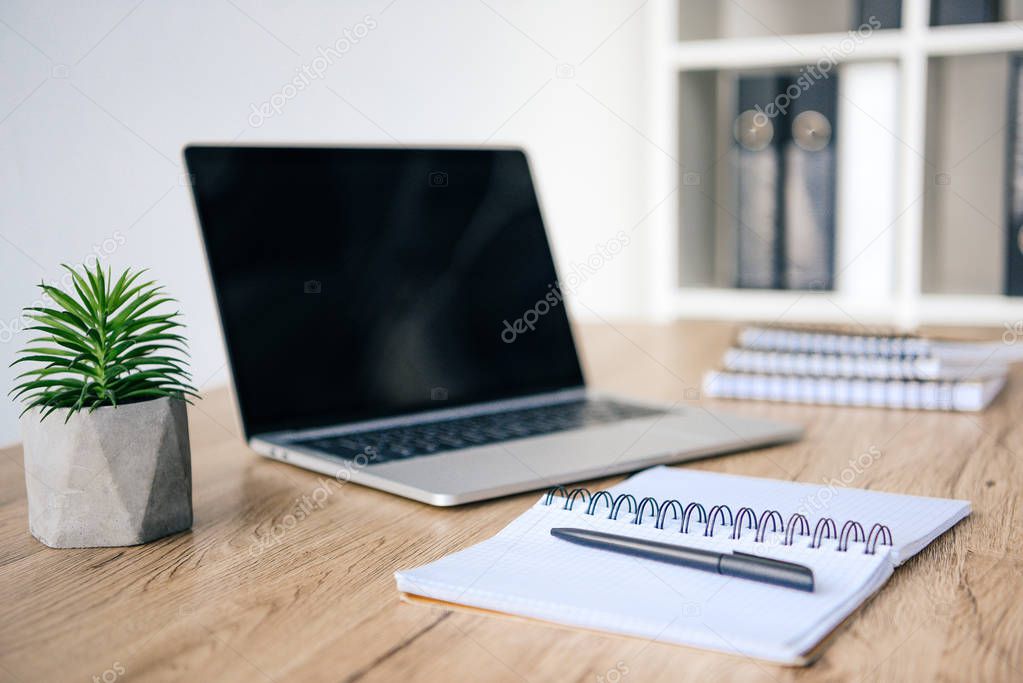 closeup view of potted plant, laptop with blank screen and textbooks at table 