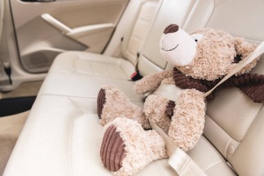 close up view of teddy bear with fastened seat belt in car clipart