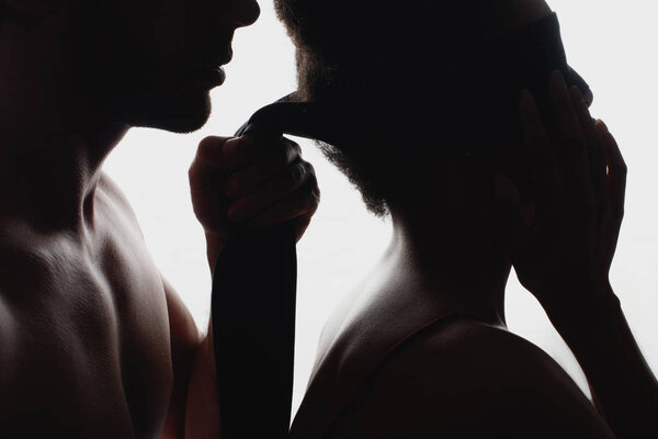 partial view of silhouettes of sexy couple with cloth