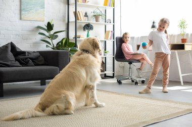 selective focus of little child playing with golden retriever dog at home clipart