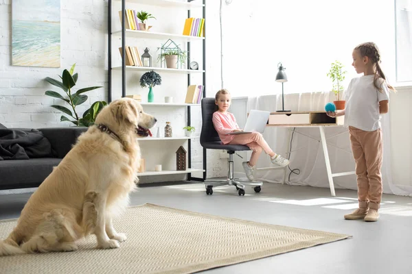 Evde Masada Oturan Dizüstü Bilgisayar Ile Golden Retriever Köpek Kız — Stok fotoğraf