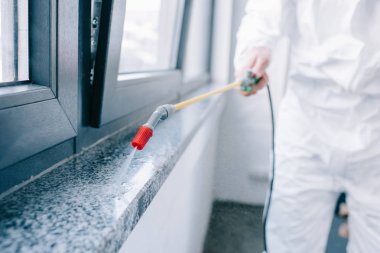 cropped image of pest control worker spraying pesticides on windowsill at home clipart