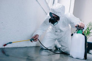pest control worker spraying pesticides on floor at home clipart