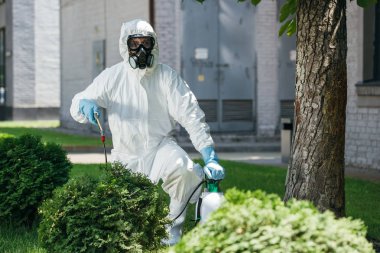 pest control worker in uniform spraying chemicals on bush   clipart