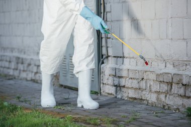 pestisitler bina duvar üzerinde spreyi püskürtme haşere kontrol alt resim kırpılmış