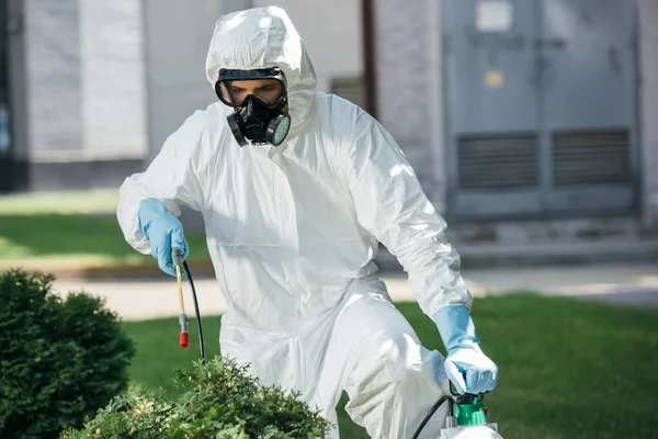 Trabajador Masculino Control Plagas Productos Químicos Uniformes Pulverización Arbustos —  Fotos de Stock