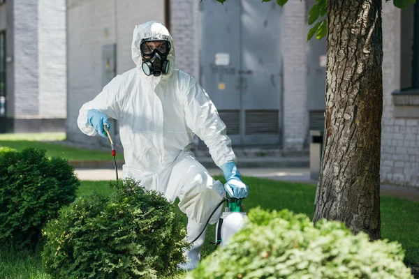 Pest Control Worker Uniform Spraying Chemicals Bush — Stock Photo, Image