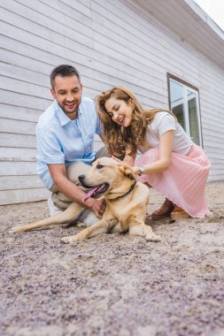happy adult couple palming labrador at animals shelter and choosing for adoption clipart
