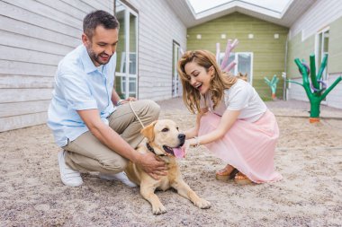 smiling couple palming labrador dog at animals shelter and choosing for adoption clipart
