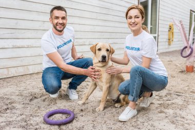 çömelme ve labrador palming hayvan barınağı gönüllü gülümseyen