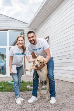 smiling male and female volunteers of animals shelter palming labrador and looking at camera clipart