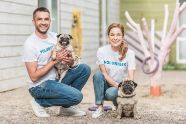 two volunteers of animals shelter squatting with pug dogs and looking at camera clipart