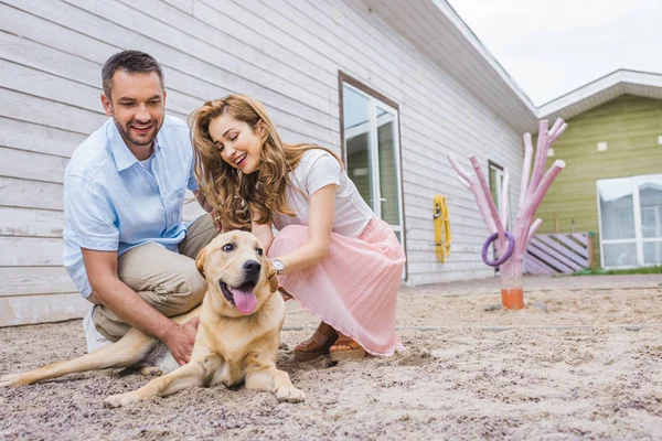 Feliz Pareja Palming Labrador Animales Refugio Elegir Para Adopción — Foto de Stock