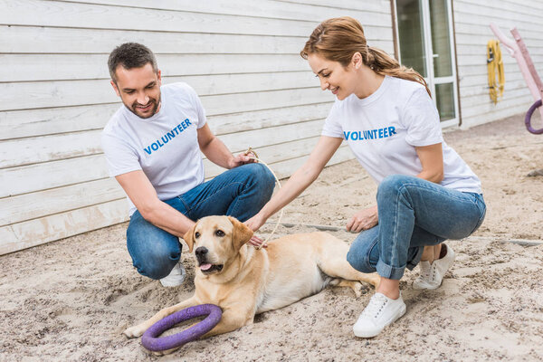 two volunteers of animals shelter squatting and palming cute labrador