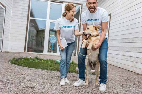 Dois Voluntários Abrigos Animais Divertindo Com Labrador — Fotografia de Stock