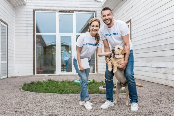 Uśmiechający Się Wolontariusze Schroniska Zwierząt Palming Labrador Patrząc Kamery — Zdjęcie stockowe