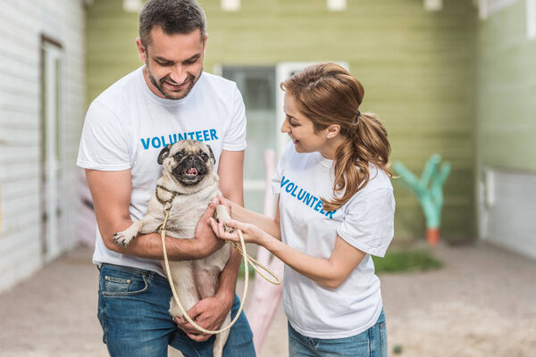 happy volunteers of animals shelter holding pug dog
