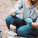 Beskuren bild av leende kvinnliga forskare sätta kvist av pincett i test kolv i skogen