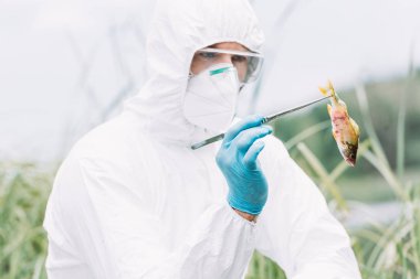 Açık havada balık inceleyerek maske ve koruyucu giysi içinde erkek bilim adamı odaklı 