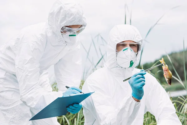 Scientists Protective Masks Suits Examining Fish Writing Clipboard Outdoors — Free Stock Photo