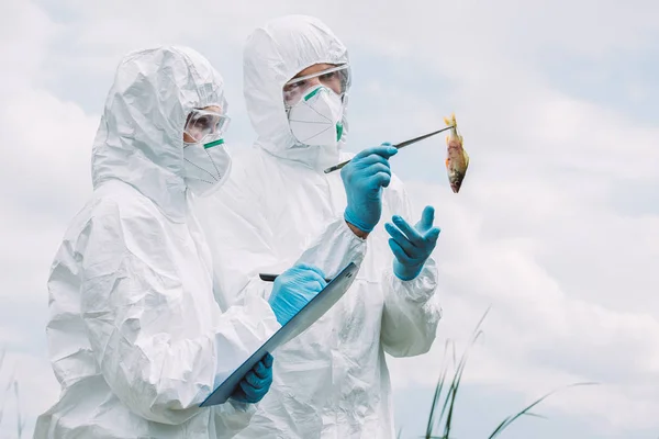 Cientistas Máscaras Ternos Protetores Examinando Peixes Escrita Prancheta Contra Céu — Fotografia de Stock