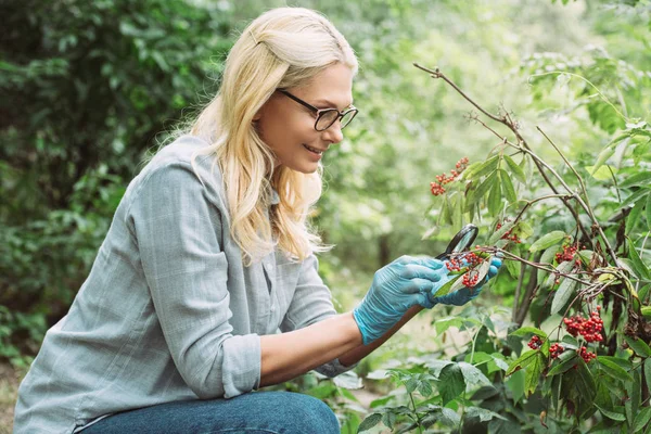 Side View Smiling Female Scientist Looking Rowans Magnifying Glass Forest — Stock Photo, Image