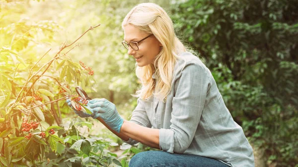 Smiling Female Scientist Latex Gloves Looking Rowans Magnifying Glass Forest — Free Stock Photo