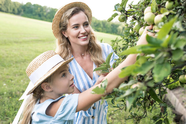 счастливая мать и дочь собирают яблоки вместе

