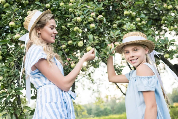 Happy Mother Daughter Straw Hats Picking Apples Together — Stock Photo, Image
