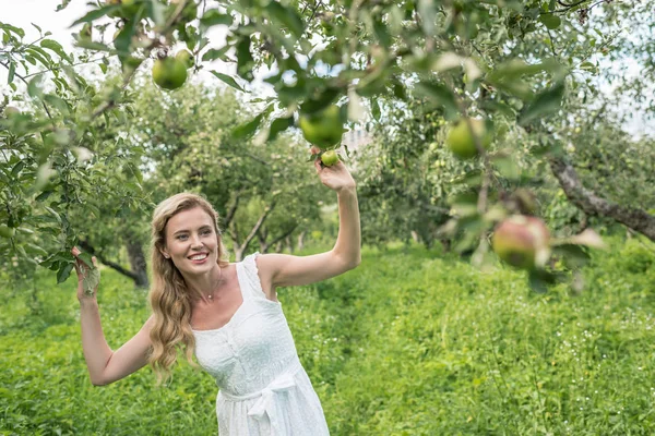 Femeie Frumoasă Zâmbitoare Grădină Măr — Fotografie de stoc gratuită