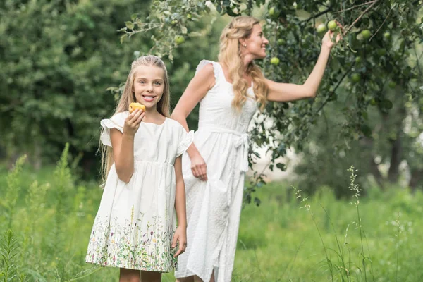 Hermosa Madre Recogiendo Manzanas Mientras Hija Comiendo Melocotón — Foto de Stock