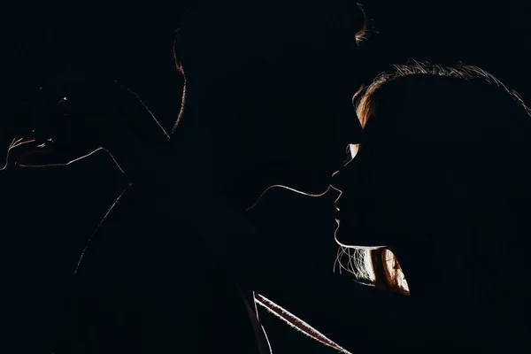 暗闇の中でキスのガール フレンドのボーイ フレンド シルエットを鼻します — ストック写真