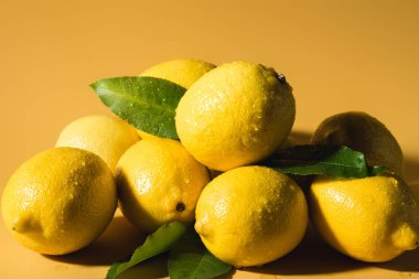 fresh wet lemons with leaves on yellow background clipart