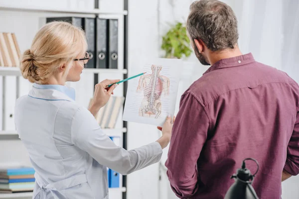 Female Physiotherapist Showing Human Body Picture Patient Clinic — Stock Photo, Image