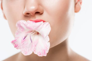 Kırpılan görünümünü üzerinde beyaz izole ağzına pembe çiçek tutan kadın