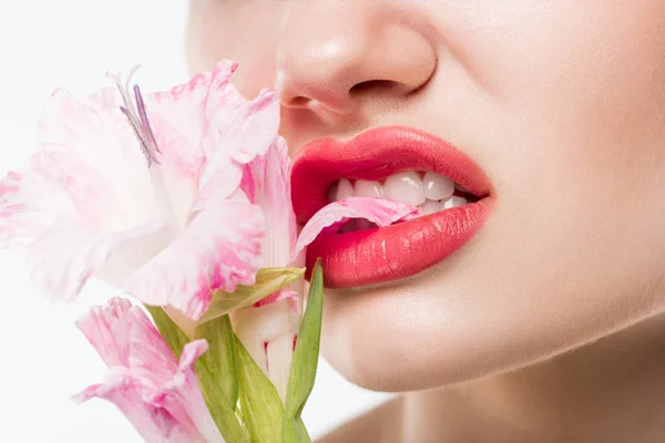 Visão Parcial Menina Mordendo Flores Rosa Isolado Branco — Fotos gratuitas