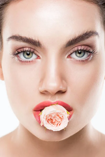 Mujer Moda Sosteniendo Rosa Rosa Flor Los Labios Aislado Blanco — Foto de stock gratis