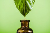 Esenciální olej kapající z listu do skleněné lahve izolované na zelené