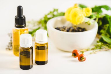 bottles of essential oils and herbs on white surface clipart