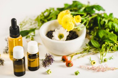 bottles of essential oils and herbs on white surface, alternative medicine concept clipart