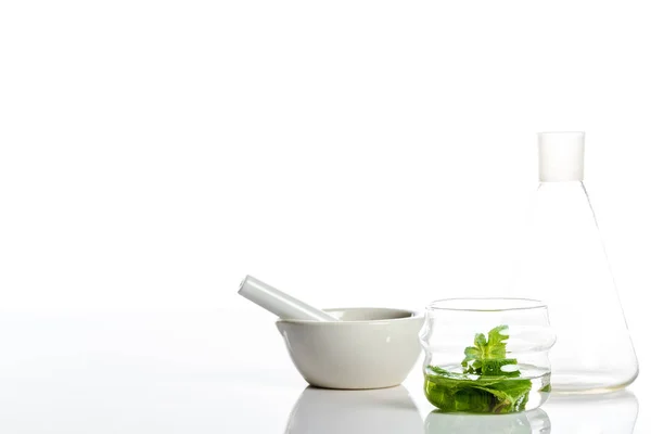 Mortier Avec Pilon Bocaux Verre Aux Herbes Isolées Sur Blanc — Photo