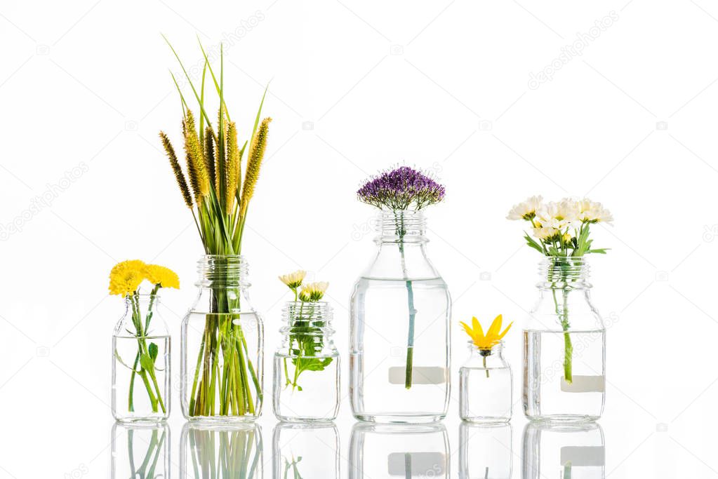 glass jars with blooming flowers isolated on white, alternative medicine concept