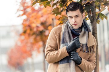 handsome man in coat, leather gloves and scarf standing under autumnal maple tree on street clipart